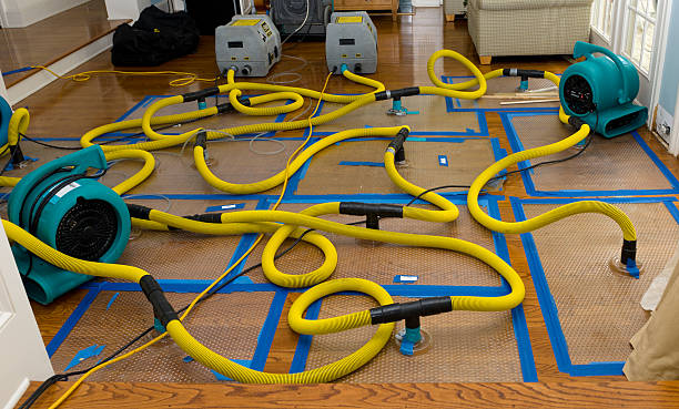 Professional Flood Damage Restoration technician working in Newcastle, UT